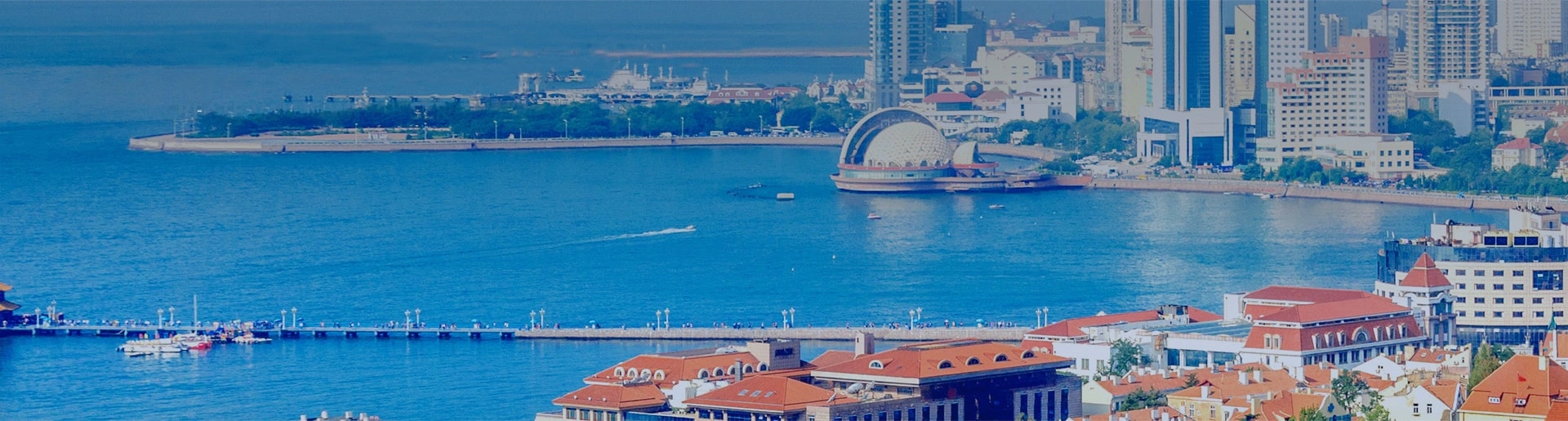 Privacy Policy-banner