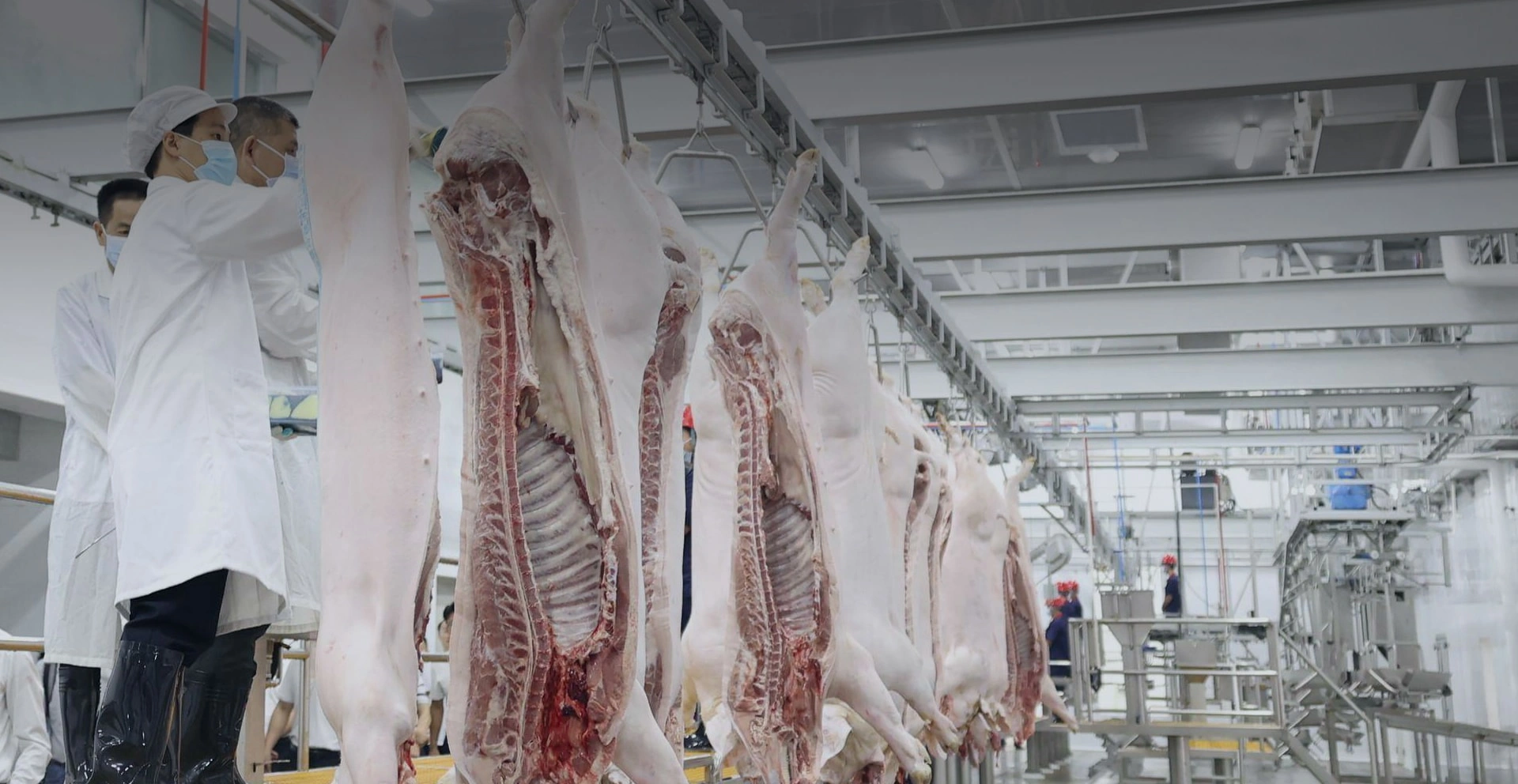 Committed to providing diversified and high-quality industrial and civilian products to global customers