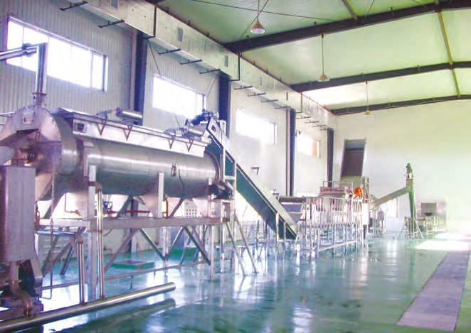 1000kg/h Frozen French Fries Production Line