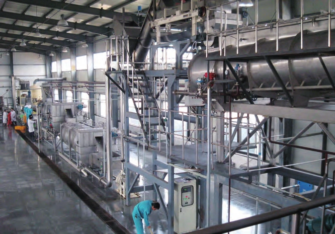 700-800kg/h Potato Flakes Pocessing Line