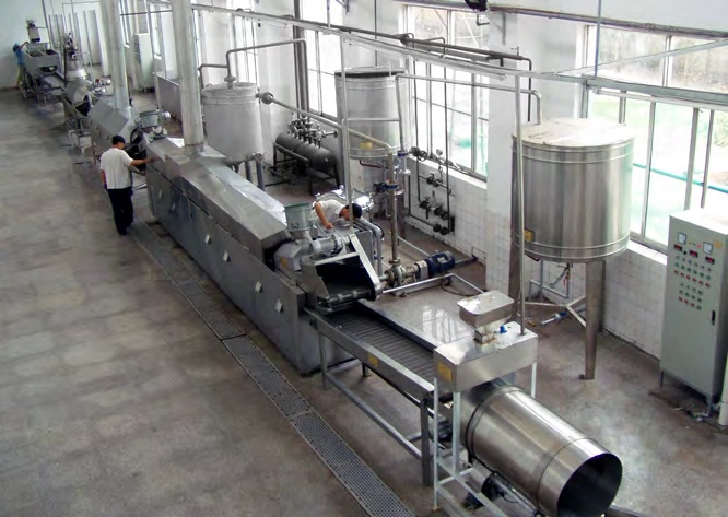 300kg/h Fried Potato Chips Processing Line