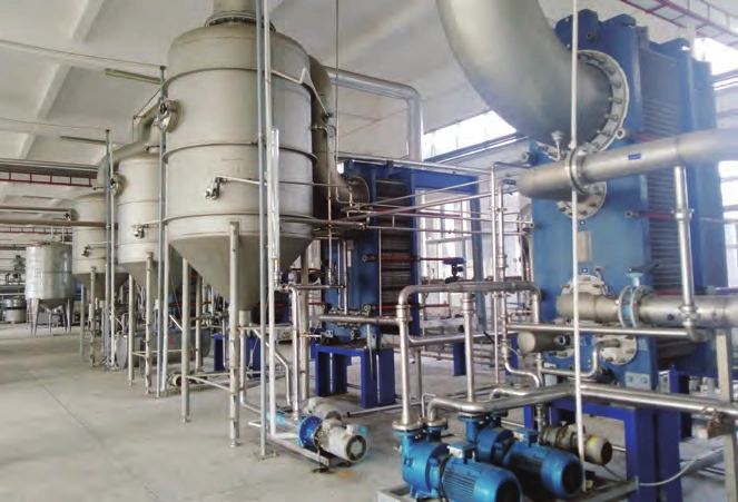 Guangdong Zhanjiang Pineapple Juice Concentrate Processing Project