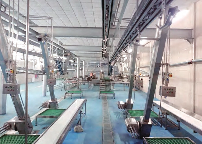 6000 Sheep Per Shift Slaughtering Line