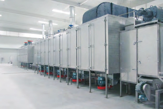 30t/d Garlic Slices Drying Production Line