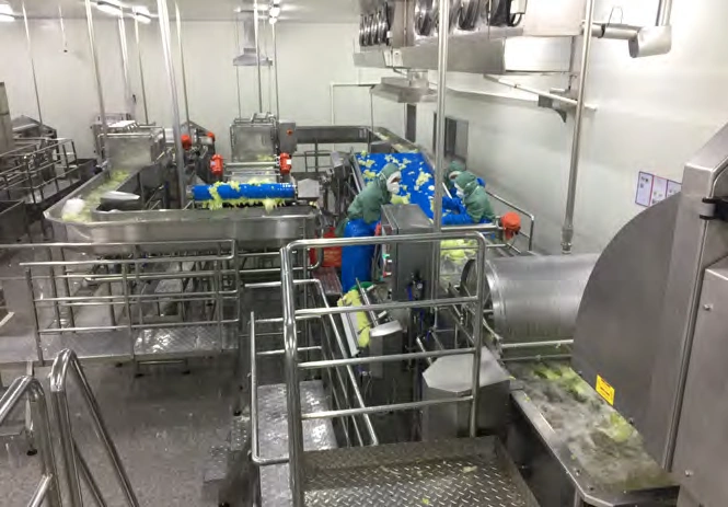 Beijing Tian'an Agricultural Clean Vegetable Processing Project