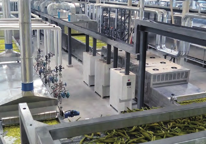 Shanxi Datong 100 t/d Daylily Drying Production Line