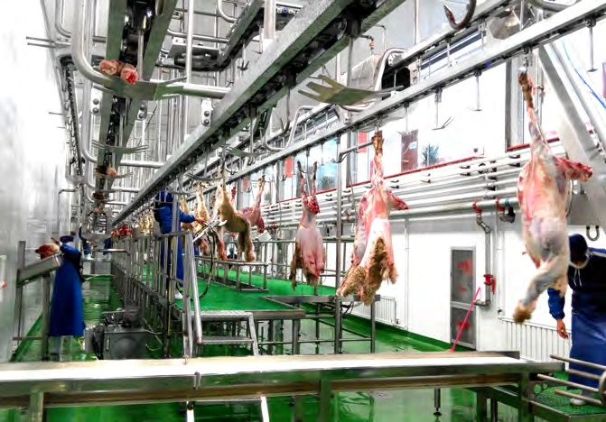 Sheep Slaughtering Line