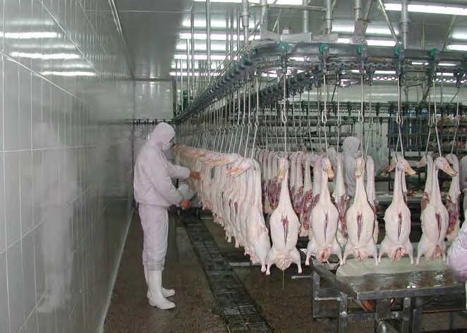 Segmentation Processing Line