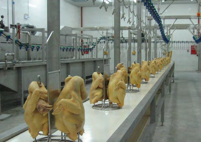 Cooked Meat Processing Line